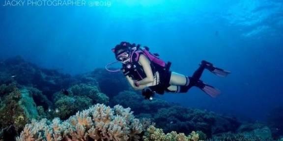 萌新水果连连看